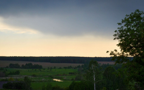 Погода в Сыктывкаре 1 июля: новый месяц начинается с грозы