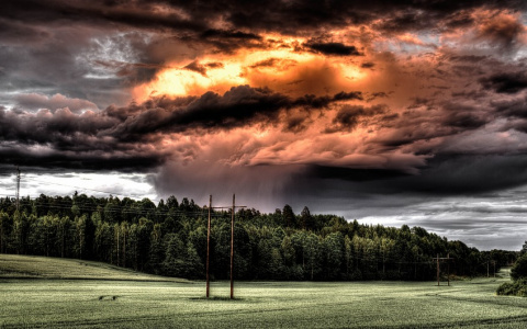 Погода в Сыктывкаре на 2 июля: жара закончилась