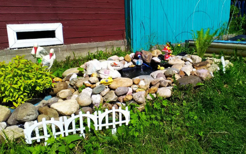 В конкурсе «Моя дача» три новых участника (фото)