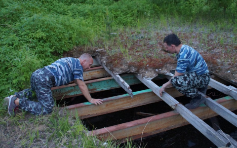Знакомые охранников-героев из Сыктывкара пытаются добиться для них медалей