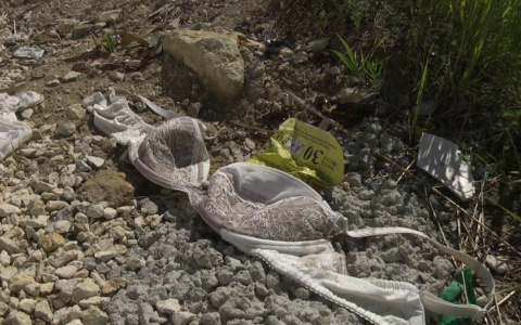 В Коми в нескольких метрах от Вечного огня валяются трупы животных и нижнее белье