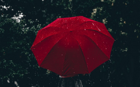 Погода в Сыктывкаре 4 июля: теплый летний дождь