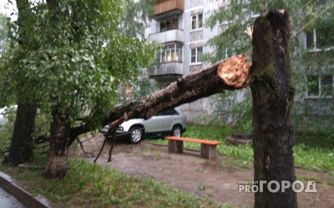 В Сыктывкаре ураган валил деревья на машины и срывал крыши (фото)