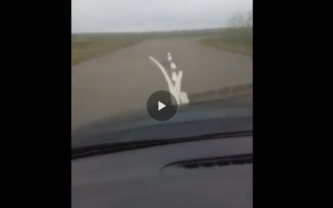 Житель Коми запутался в странной разметке на дороге (видео)