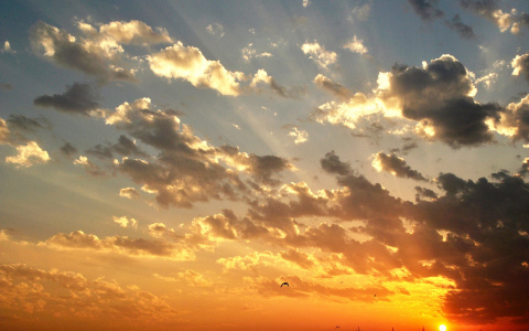 Синоптики рассказали, когда в Сыктывкаре закончится дождь