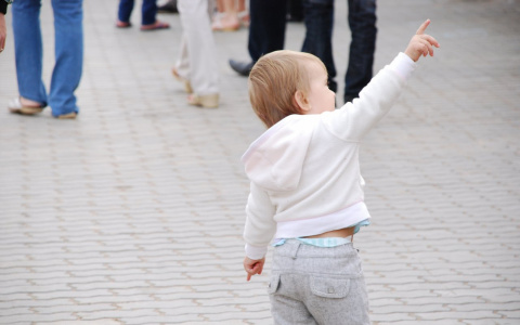 В Сыктывкаре 2-летний ребенок бродил один по оживленной трассе