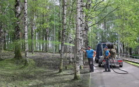 В Сыктывкаре Мичуринский парк засеют необычным способом (фото, видео)