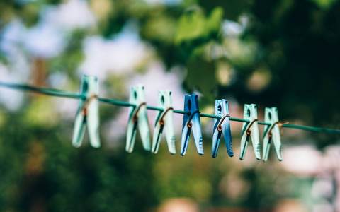 Погода в Сыктывкаре 11 июля: нежарко и сухо