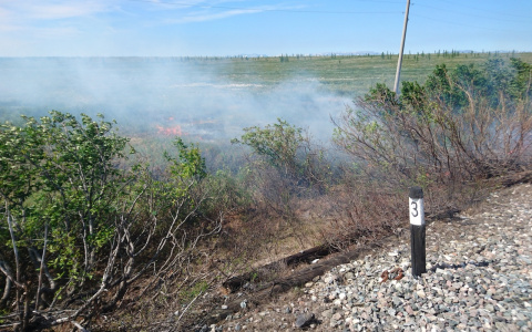 В Коми из поезда на ходу выбросили горящие отходы (фото)