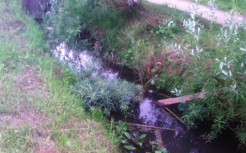 В Сыктывкаре неподалеку от психбольницы нашли труп мужчины