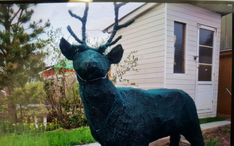 Стала известна победительница конкурса «Моя дача»