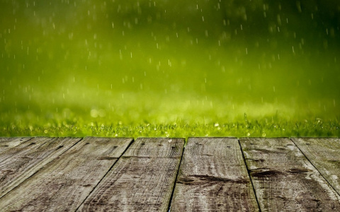 Синоптики рассказали, какая погода будет в Сыктывкаре в выходные