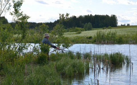 В Коми пройдет конкурс на лучшую рыбацкую байку