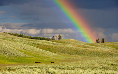 Погода в Сыктывкаре 17 июля: грядут перемены