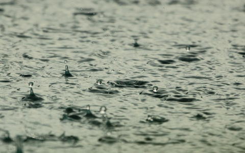 В Сыктывкаре выпало шесть кислотных дождей