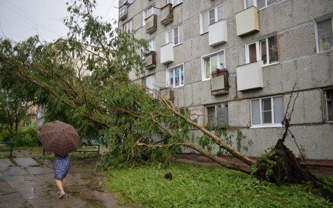 В одном из городов Коми из-за урагана ввели режим ЧС