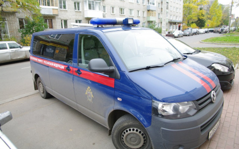 Следователи назвали предварительную версию смерти мужчины, тело которого нашли под Сыктывкаром