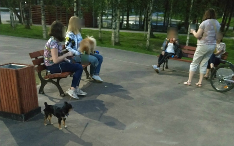 В Сыктывкаре компания девушек устроила в парке «пивнушку» (фото)