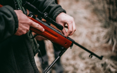 Судебные приставы Коми продали оружие, которое изъяли у охотников