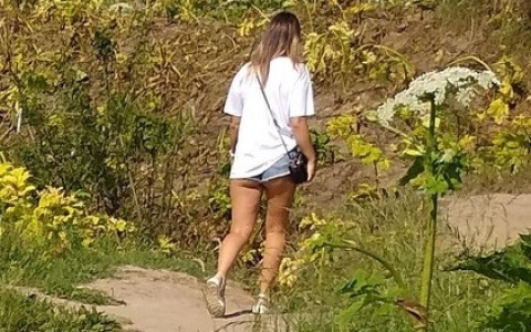 Сыктывкарцы рассказали, как относятся к девушкам в коротких шортах (фото)