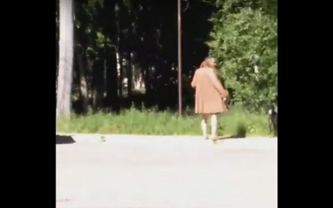 По Сыктывкару гулял «гламурный» мужчина в тапках и женском пальто (видео)