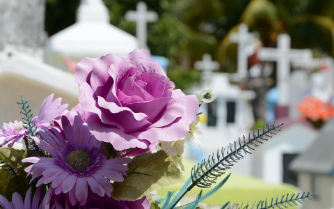 В Сыктывкаре в одной из квартир нашли труп молодого таксиста