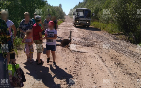 В Коми автобус возит жителей села по дороге, которая может обрушиться (фото)