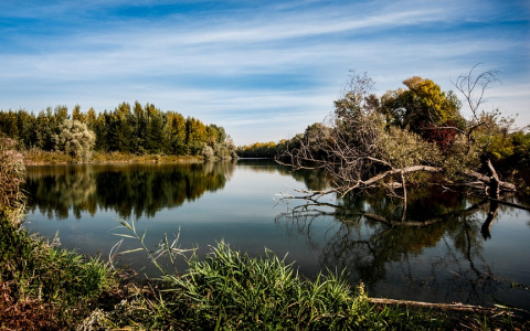 Завершились поиски пенсионерки, которая пропала вместе с правнучками на реке в Коми