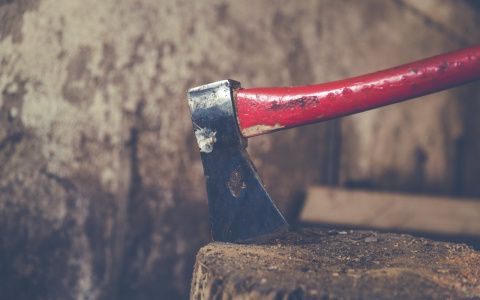 Житель Коми, который убил топором двух приятелей, оказался психически больным