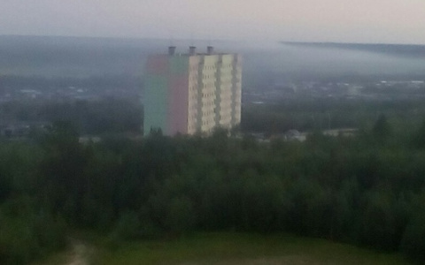 Жители одного из городов Коми уже три недели задыхаются от невыносимого запаха свалки (фото)