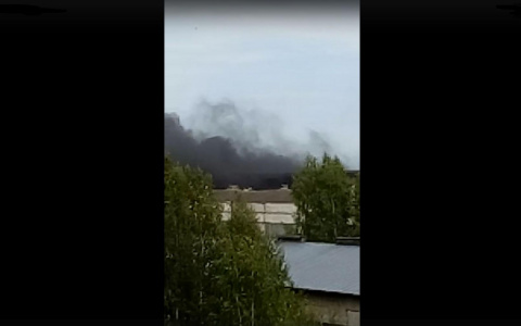 В Сыктывкаре подожгли заброшенный завод (фото, видео)