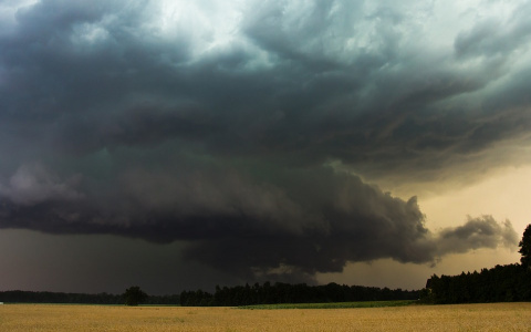 Погода в Сыктывкаре 6 августа: грядет пора ненастий