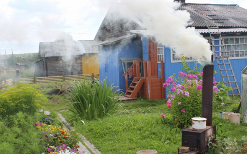 В конкурсе «Моя дача» творческие участницы (фото)