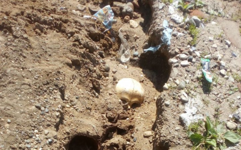 На дороге под Сыктывкаром после дождя показались человеческие останки (фото)