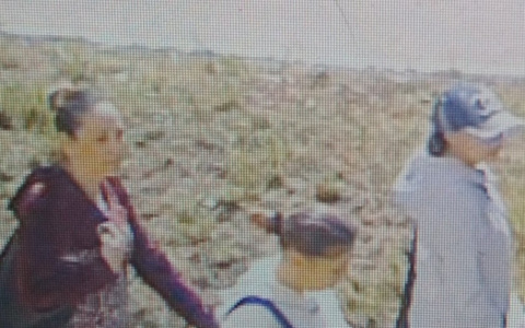 Полиция Сыктывкара ищет трех цыганок, которые обобрали пенсионеров (видео)