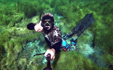 Подводный охотник из Сыктывкара сделал впечатляющие фото на водоемах Кировской области
