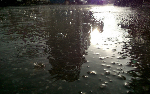 Синоптики рассказали, какая погода будет в Сыктывкаре на неделе