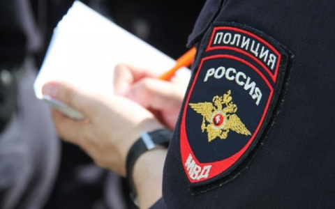 Стала известна личность мужчины, который напал на женщину с коляской в Коми