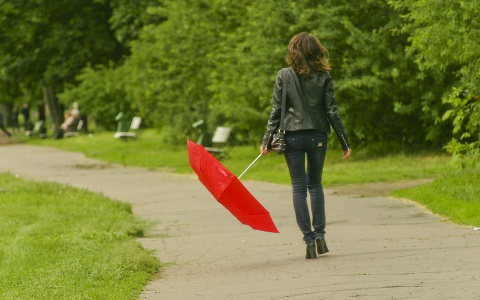 Погода в Сыктывкаре на 14 августа: вооружитесь зонтом