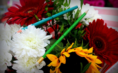 1 Сентября через 17 дней: экстренно собираем ребенка в школу