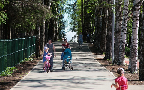 В Мичуринском парке Сыктывкара появится веревочный парк