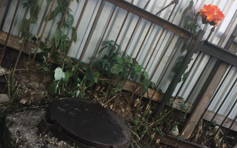 Сыктывкарец, который обнаружил труп женщины: «Я случайно заглянул в люк и увидел тело»