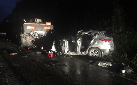 В Коми мужчина, который насмерть разбился на трассе, застрелил свою жену из ружья