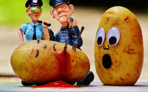 Ограбление века: шесть неудачных преступлений в исполнении жителей Коми