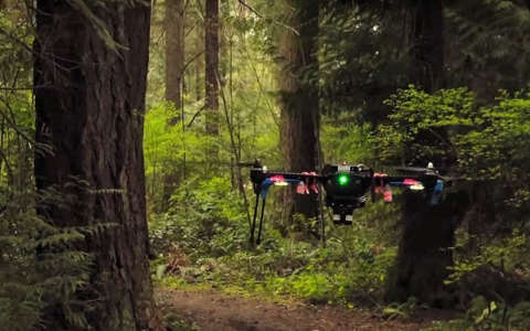 Леса Коми будут охранять дроны-беспилотники