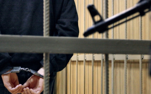 Жителя Коми, который напал на полицейского с ломом, осудят