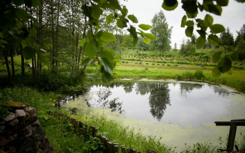 В Сыктывкарском ботаническом саду откроют площадку для детей-инвалидов