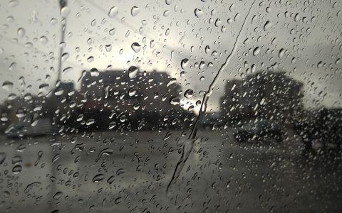 Погода в Сыктывкаре 22 августа: температура упадет, а после полудня пойдет дождь