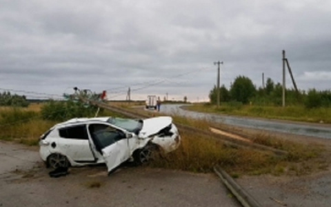 В Коми водитель легковушки обрушил столб электропередач