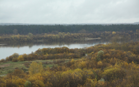 В Коми нашли останки мужчины, который пропал год назад